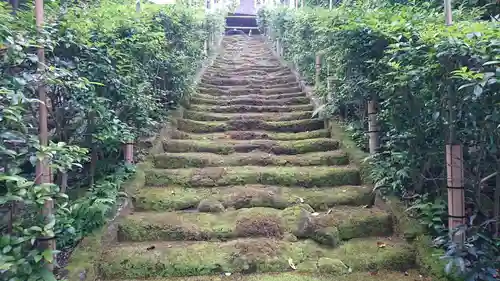 杉本寺(神奈川県)