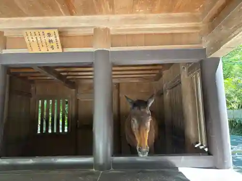 伊勢神宮内宮（皇大神宮）(三重県)