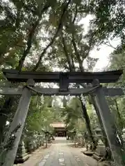 駒木諏訪神社の鳥居