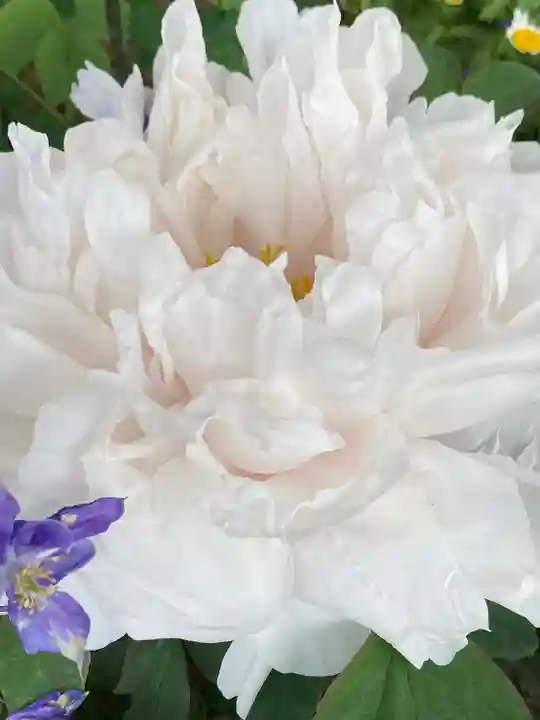 薬師院(兵庫県)