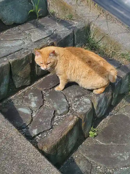 男浅間神社の周辺