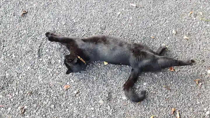 高司神社〜むすびの神の鎮まる社〜(福島県)