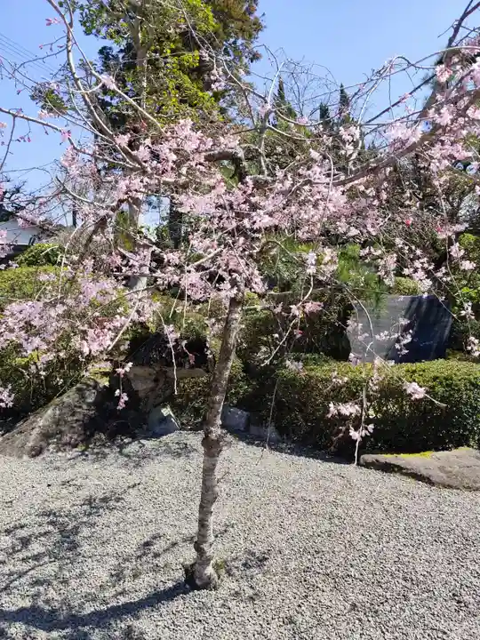 延光寺(高知県)