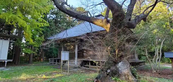 長谷寺の本殿