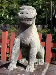 鶴岡八幡宮の狛犬