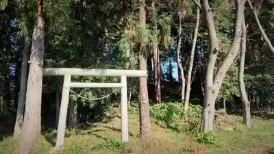 富士浅間神社の鳥居