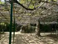 住吉神社(兵庫県)