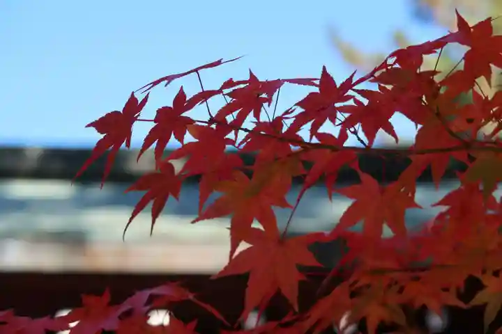 仁和寺(京都府)