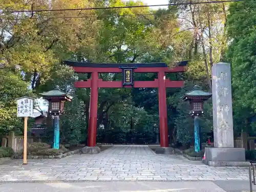 根津神社の鳥居
