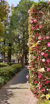 北野神社の自然
