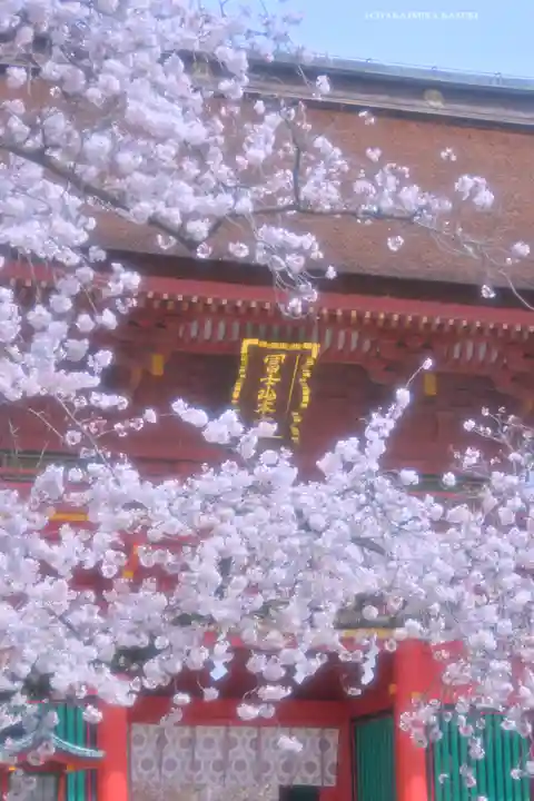 富士山本宮浅間大社(静岡県)