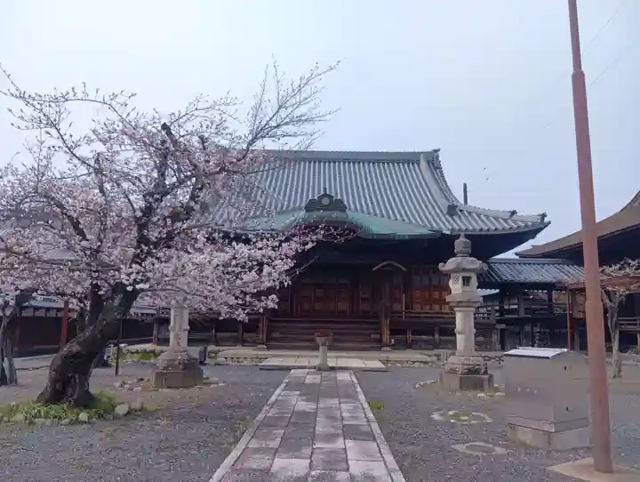 曼陀羅寺(愛知県)