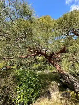 城南宮(京都府)