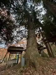 龍興山神社(青森県)