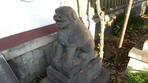 富岡八幡宮の狛犬