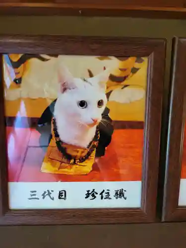 猫猫寺(京都府)