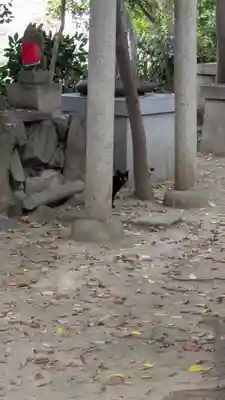 花山稲荷神社(京都府)