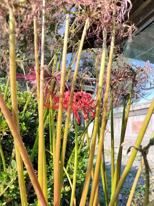 小川月神社(京都府)