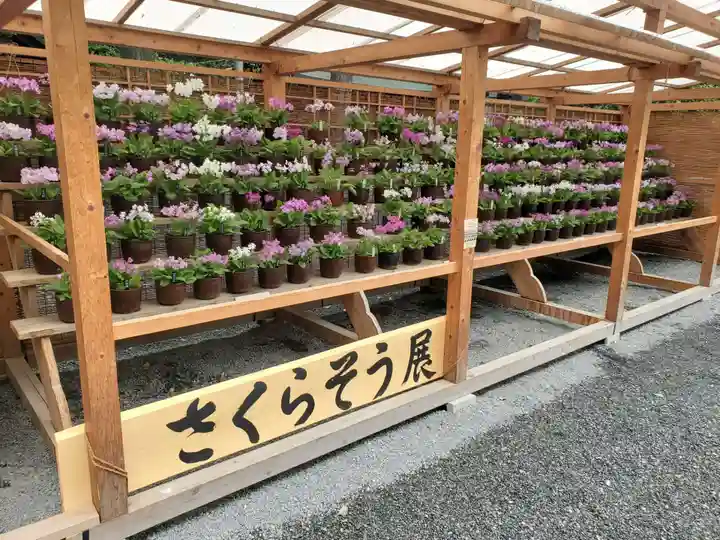 秩父神社(埼玉県)