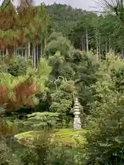 鹿苑寺（金閣寺）(京都府)