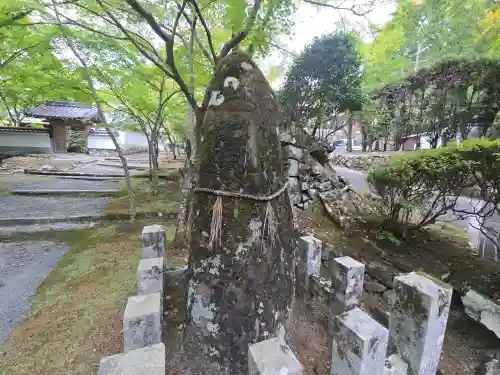 神峯山寺(大阪府)