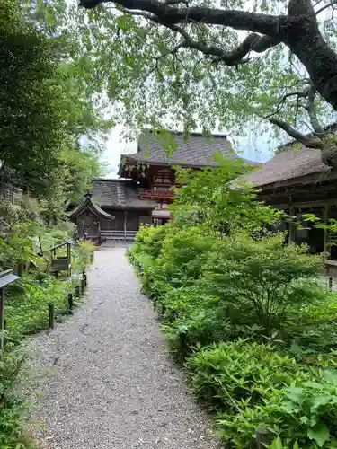 吉野水分神社（吉野町）の自然
