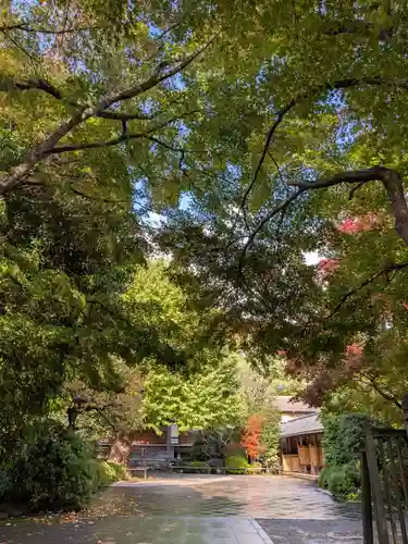 高円寺(東京都)