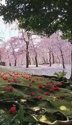 城南宮(京都府)