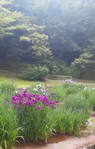 中野沼袋氷川神社(東京都)