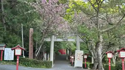 宮地嶽神社(福岡県)