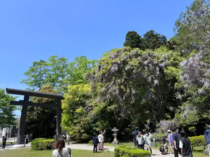 鹿島神宮(茨城県)