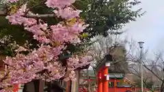 車折神社の自然