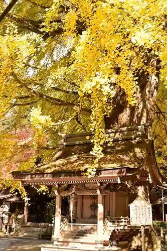 正法寺(滋賀県)