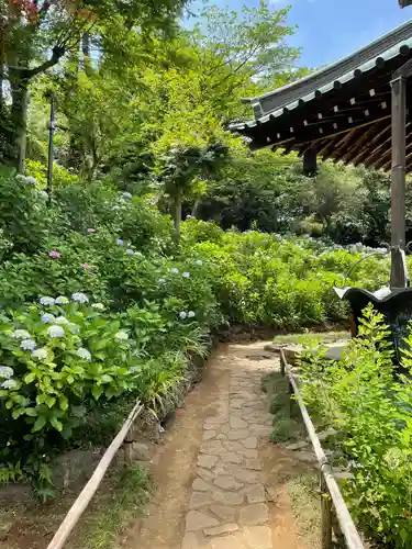 妙楽寺の庭園