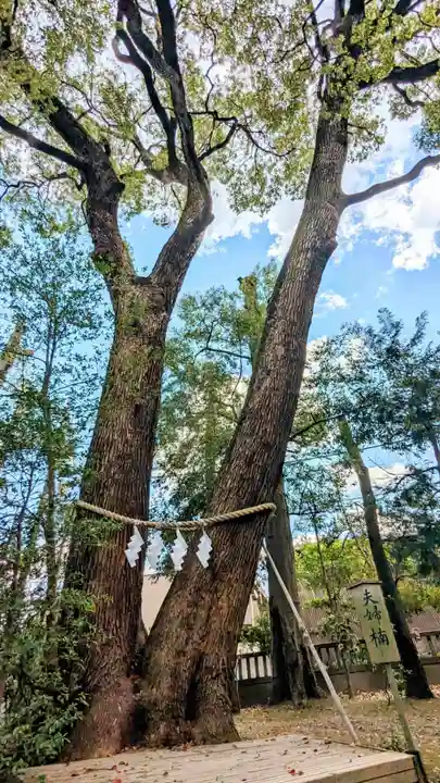 武蔵一宮氷川神社の自然