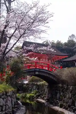 賀茂御祖神社（下鴨神社）(京都府)