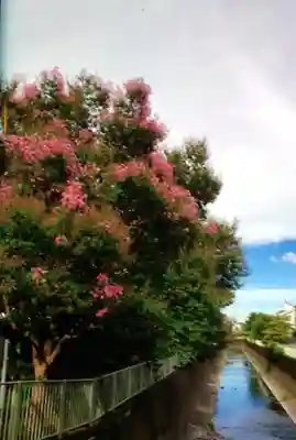 下高井戸八幡神社(東京都)