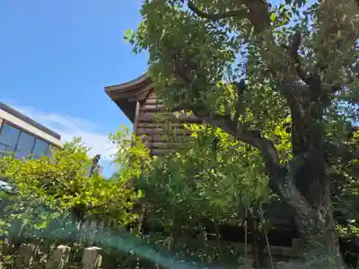簸川神社(福井県)