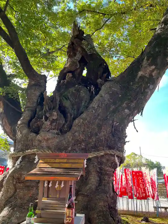 秩父今宮神社(埼玉県)