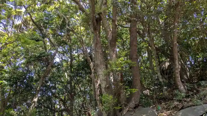 黒島神社の自然