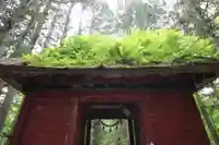 戸隠神社奥社(長野県)