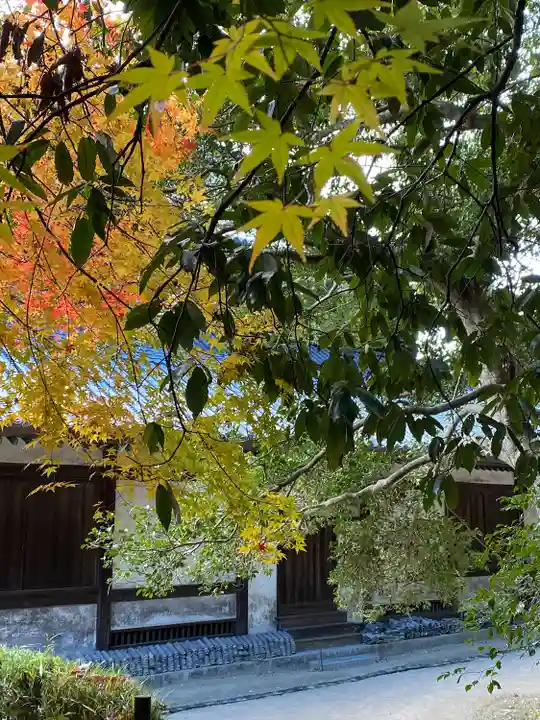 曹源寺(岡山県)