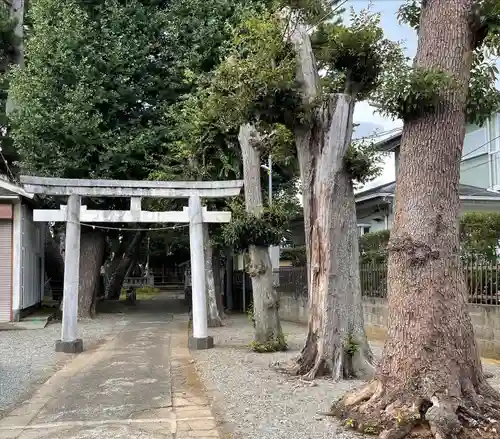 網一色 八幡神社の鳥居