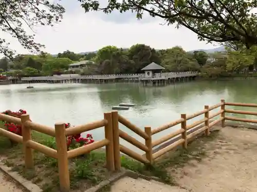 長岡天満宮の庭園