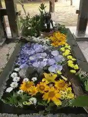 札幌護國神社の手水