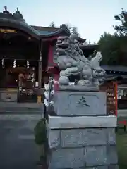 鷺宮八幡神社の狛犬