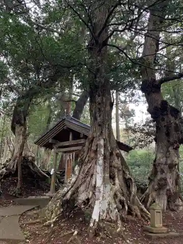 金刀比羅神社(千葉県)