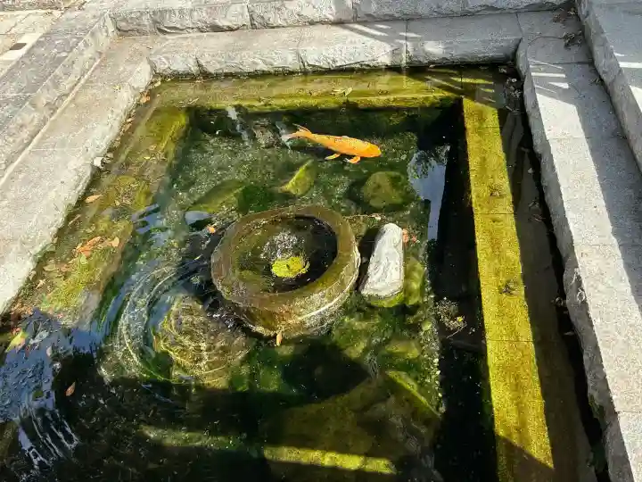 槻井泉神社(長野県)