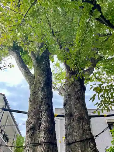 自性院(東京都)