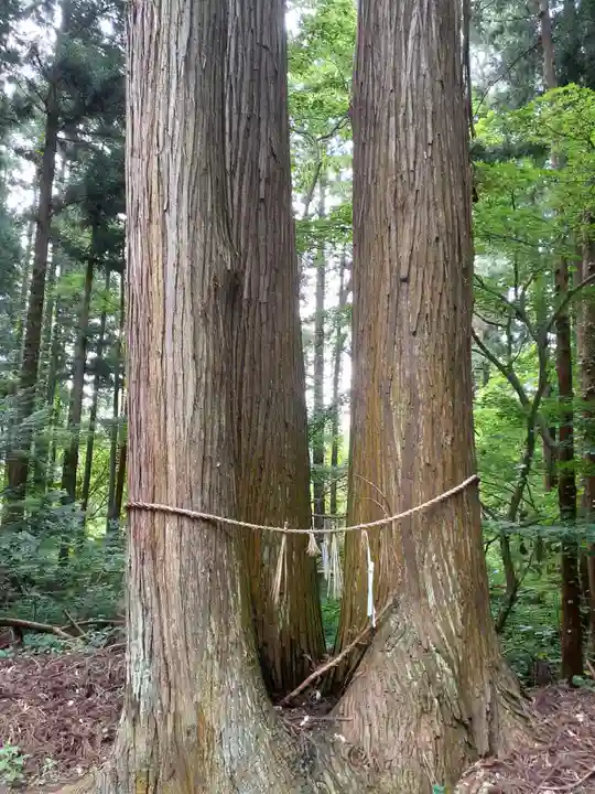 伊豆観音堂の自然